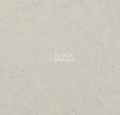 Линолеум Forbo Marmoleum Marbled Fresco 3860-386035 silver shadow фото 1 | FLOORDEALER